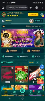 Bro444 Game