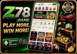 Z 78 Game